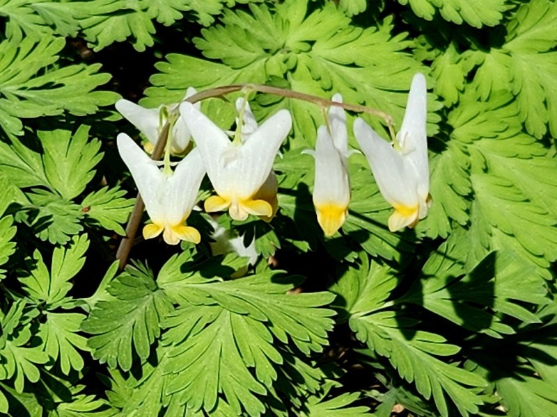 Too big for my&nbsp;breeches