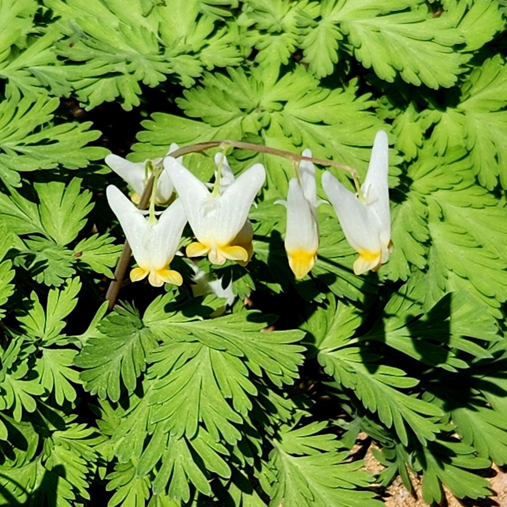 Too big for my&nbsp;breeches